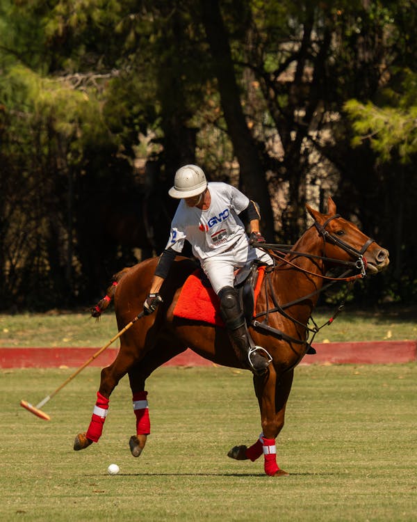 the game archives gameverse